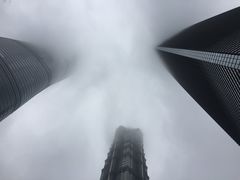 -上海柏悦酒店