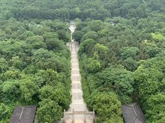 -宜兴龙背山森林公园