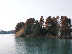 -比斯特上海购物村精品奥特莱斯