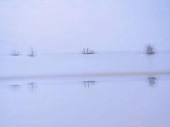 -贡湖湾湿地公园