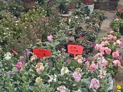 -双季花艺园艺市场(浦东店)