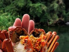 -欢乐蟹庄·精品农家乐(阳澄湖莲花岛店)