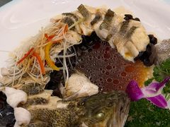 -博雅渔港·融合菜(维也纳国际大酒店)