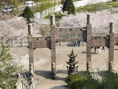 -苏州上方山国家森林公园