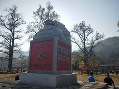 -千年银杏谷文化旅游区