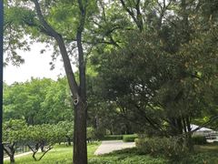 -玲珑塔公园