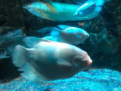 -太平洋海底世界