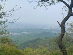 -紫金山山顶公园