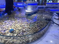 -澜悦港海鲜体验主题餐厅