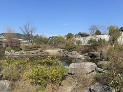 -春色如许·茶食餐厅(桃李春风店)