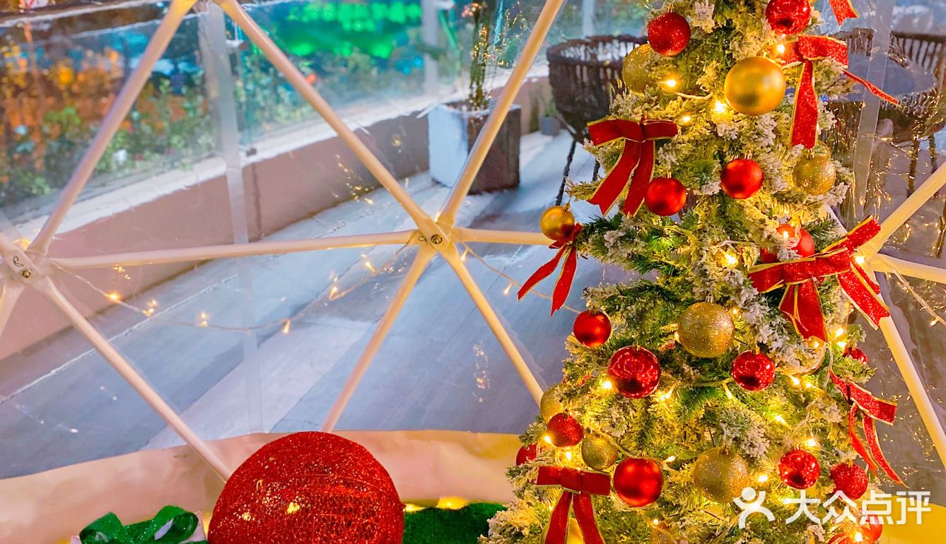 魔都最美露台日料店🎄圣诞跨年打卡好去处