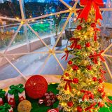 魔都最美露台日料店🎄圣诞跨年打卡好去处