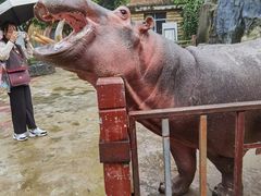 -贵州森林野生动物园