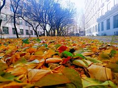 -中国建设银行哈尔滨培训中心