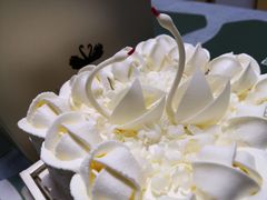 -BLACKSWAN黑天鹅(环球店)