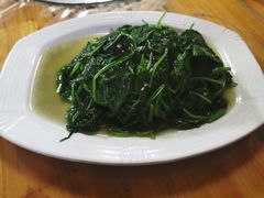 -福山迈臣农家乐