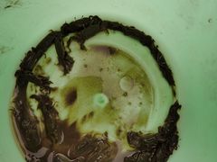 -奉贤海滩