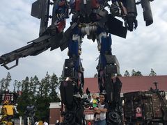 -上海长兴岛郊野公园