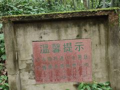 -缙云山景区