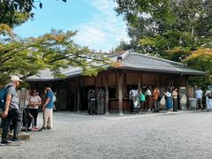 -豆政(金閣寺境内売店)