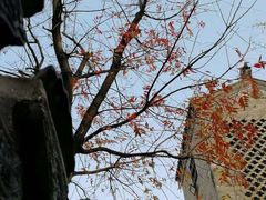 -回龙窝历史文化街区