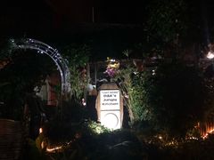 -Jungle Kitchen