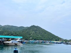 -南丫岛