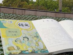 -观潮胜地公园