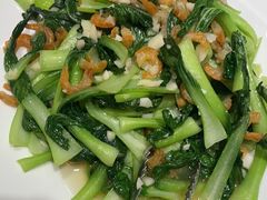 -海派美食·家宴海鲜青岛菜·石锅鲽鱼头(东方城店)