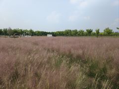-嘉北郊野公园