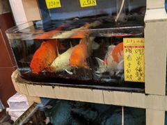 -鸿达渔港
