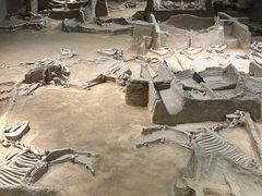 -洛阳周王城天子驾六博物馆