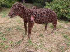 -北京西山国家森林公园