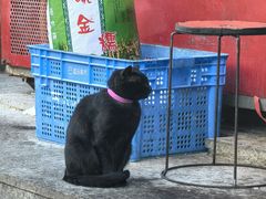 -正宗上海陆记熏鱼