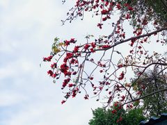-悦城龙母祖庙