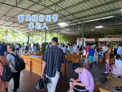 -亚龙湾国际玫瑰谷