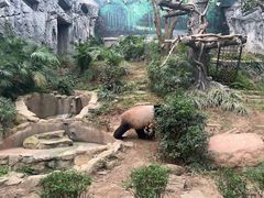 -石排湾郊野公园