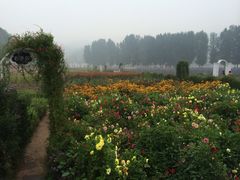 iphone_upload_pic-紫海香堤香草艺术庄园