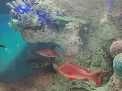 -福州罗源湾海洋世界旅游区