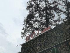 -MOJ coffee(瓯海泽雅水碓坑店)