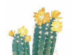 -太平洋影院(西村店)