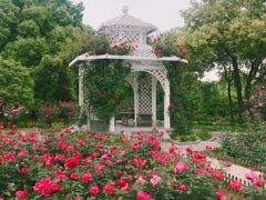 -东湖落雁景区