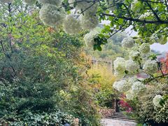 -看见远方·莫干遥远的山民宿