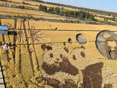 -稻梦空间冰雪小镇