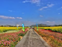 -光明小镇欢乐田园