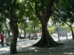 -广西壮族自治区江滨医院