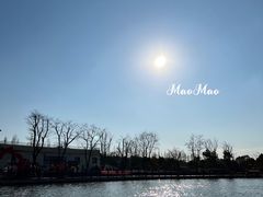 -上海长兴岛郊野公园