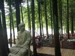 -武陵山森林公园