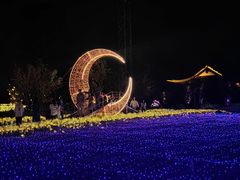-洋湖国家湿地公园