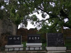 -仓颉庙